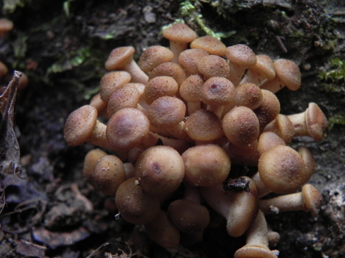 e0352220_13141487.jpg