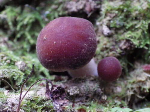 e0352220_13314455.jpg