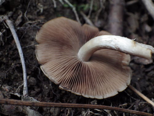 e0352220_13332142.jpg