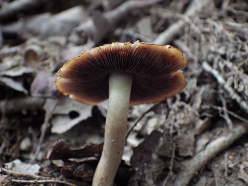 e0352220_13344793.jpg