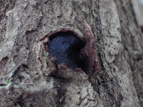 e0352220_13362966.jpg