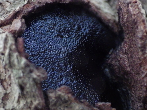 e0352220_13371165.jpg