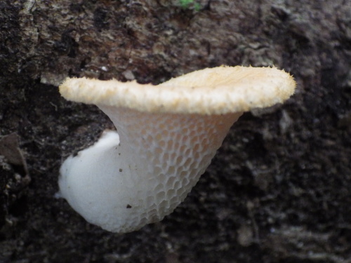 e0352220_13393893.jpg