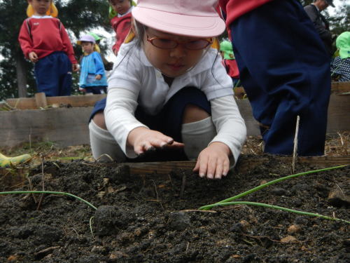 ☆みかづきの森にてたまねぎ植え☆_c0194522_15210826.jpg