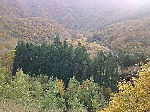 e0047322_22441445.jpg