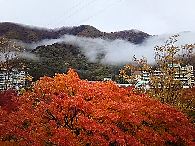 e0047322_2331420.jpg