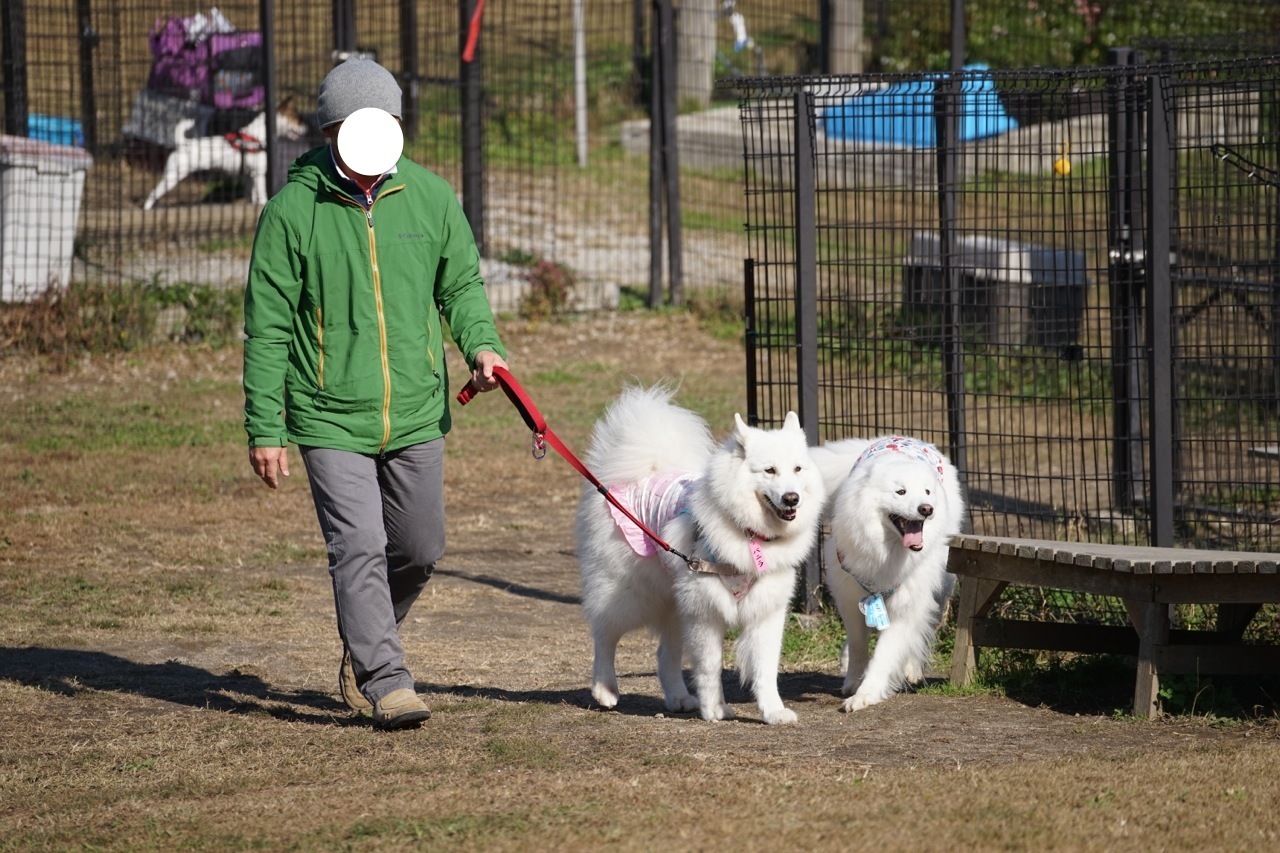 2016年中部オフに行ってきたよ_その一_f0234023_17011371.jpg