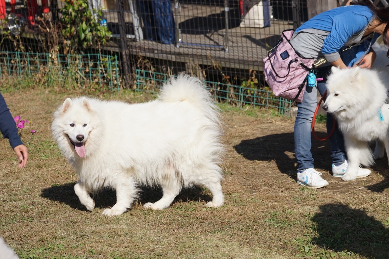 2016年中部オフに行ってきたよ_その一_f0234023_17031172.jpg