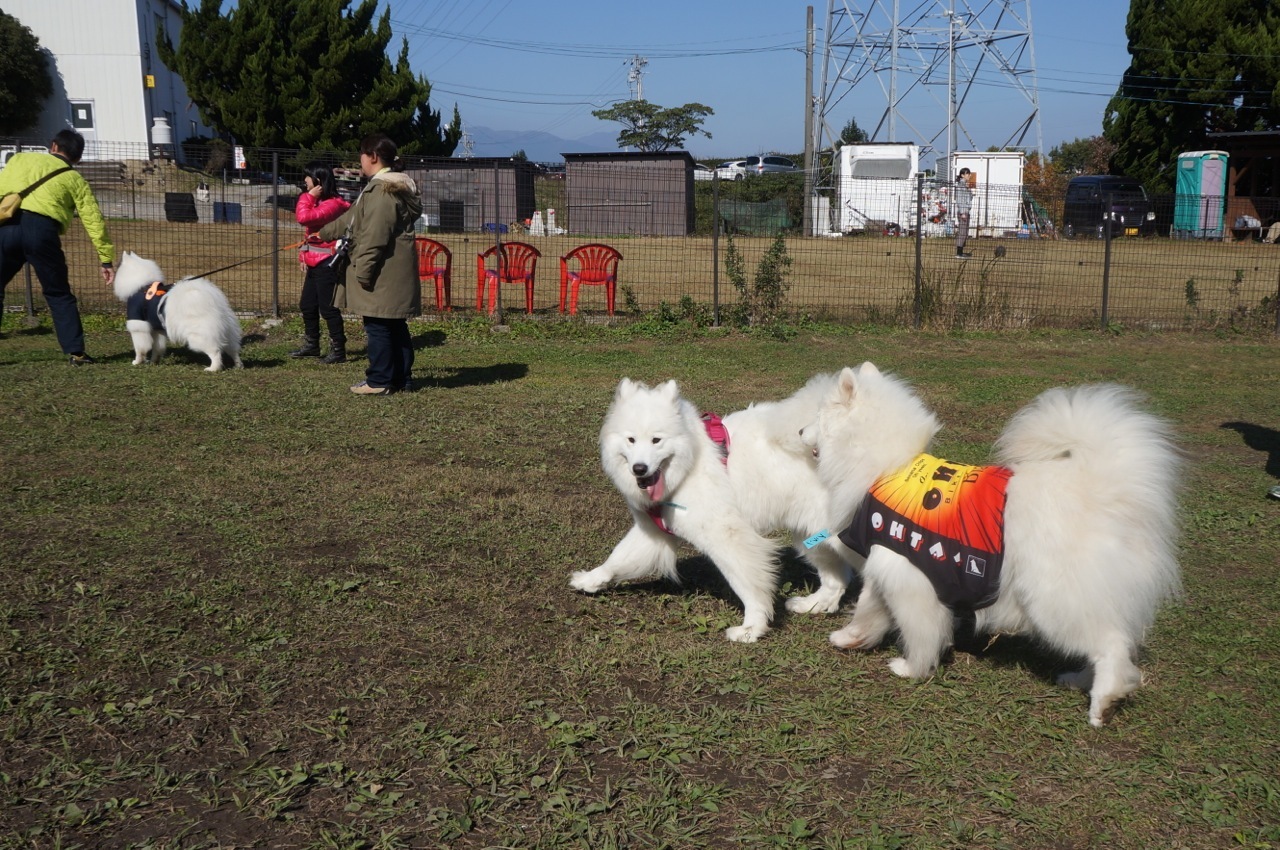 2016年中部オフに行ってきたよ_その一_f0234023_17042893.jpg