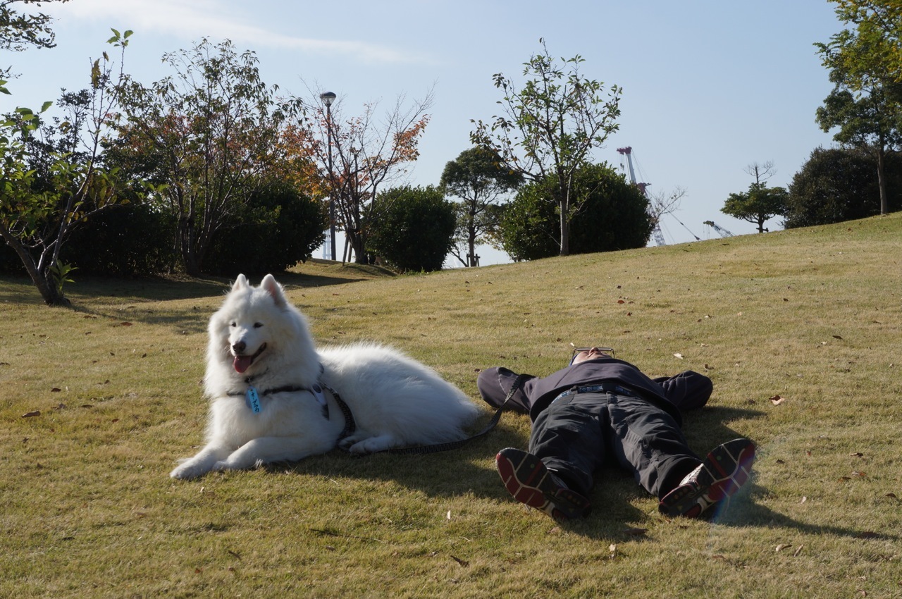 2016年中部オフに行ってきたよ_その三_f0234023_22172874.jpg