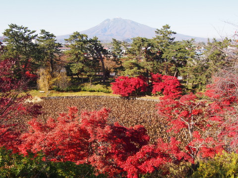 紅葉の弘前公園*2016.11.14_b0147224_20111568.jpg