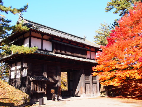 紅葉の弘前公園*2016.11.14_b0147224_2013987.jpg