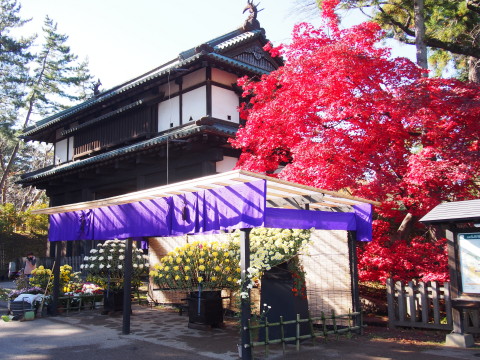 紅葉の弘前公園*2016.11.14_b0147224_2032161.jpg