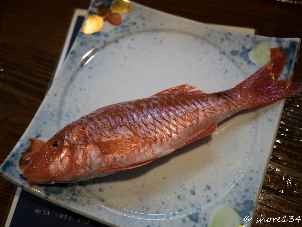 舌の肥えた地元民にも愛される地魚料理、漁師料理のお店 【腰越 旬魚菜 しら川】 6_d0177632_09590733.jpg