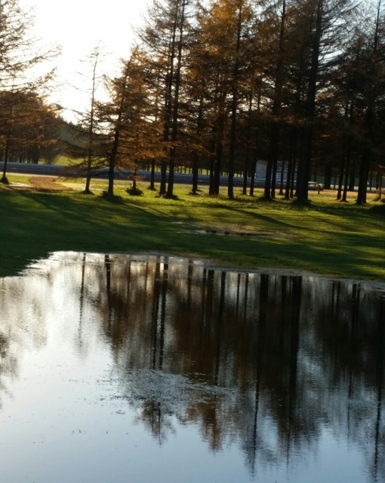c0181134_19464701.jpg