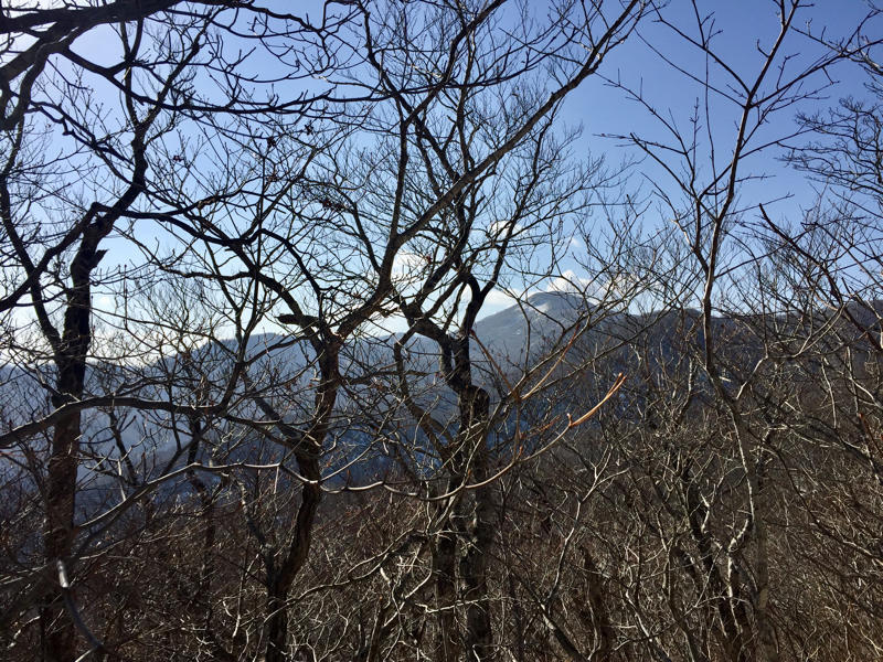 c0225536_20133514.jpg