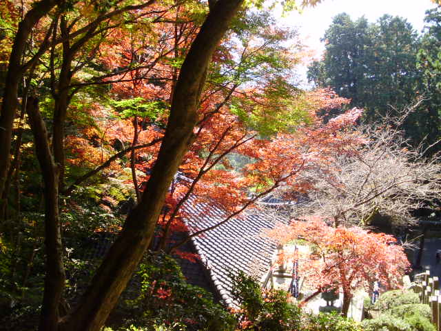 e0060041_177215.jpg