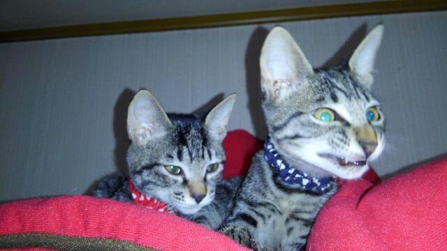 c0194042_16305153.jpg