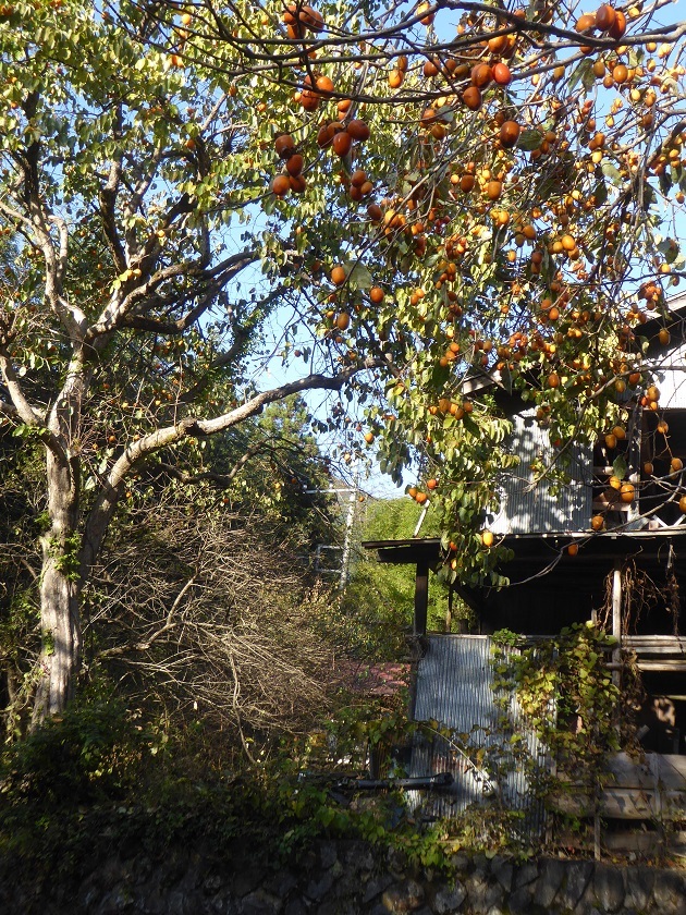 d0288144_19003344.jpg