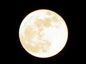 a0117545_12065927.jpg