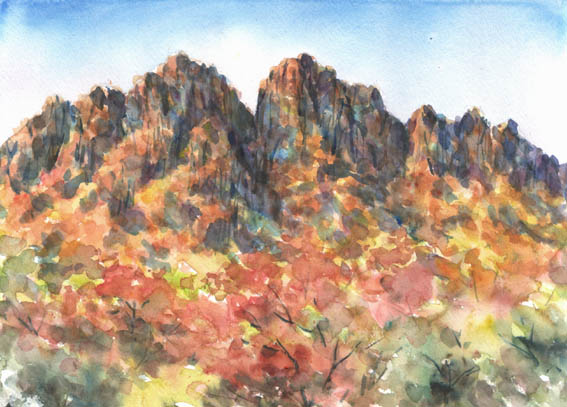 安い購入 紅葉の岩山 水々彩々、流れのままに。 : 絵画