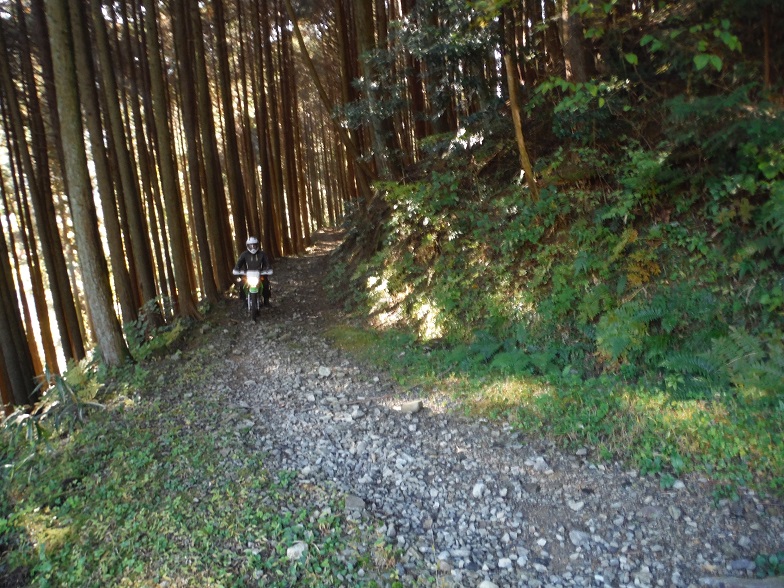 a0237349_1201869.jpg