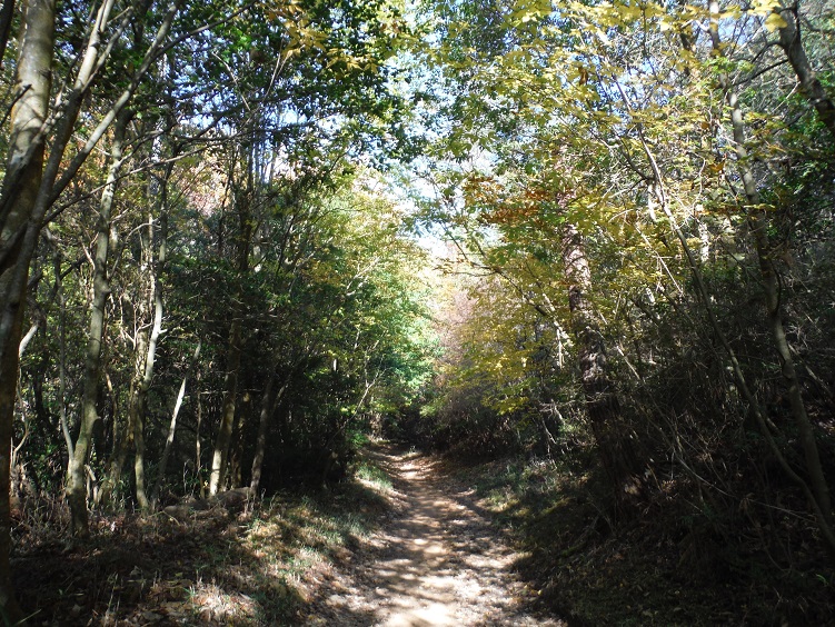 a0237349_12483858.jpg