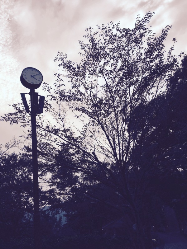 a0326649_20245561.jpeg