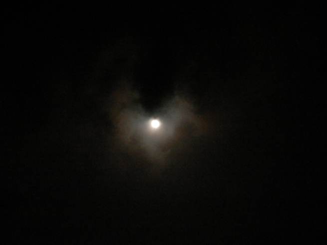 e0288951_21365668.jpg