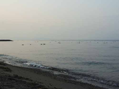 b0335256_21051140.jpg