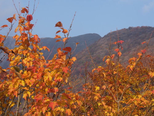 能郷白山・伊吹山　秋の旅行登山 ②　　2016.11.４～６_b0335256_21100386.jpg