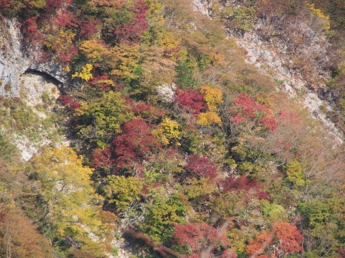 能郷白山・伊吹山　秋の旅行登山 ②　　2016.11.４～６_b0335256_21192112.jpg