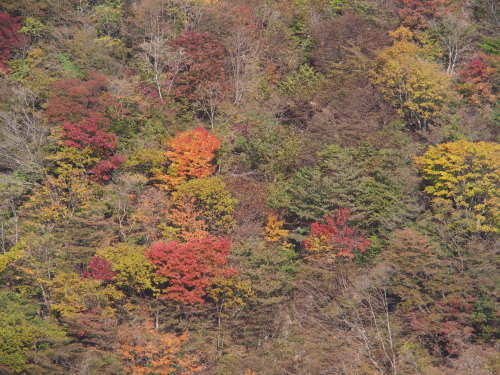 能郷白山・伊吹山　秋の旅行登山 ②　　2016.11.４～６_b0335256_21193873.jpg