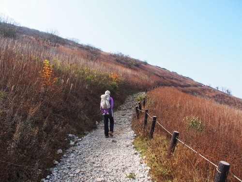 能郷白山・伊吹山　秋の旅行登山 ②　　2016.11.４～６_b0335256_21264313.jpg