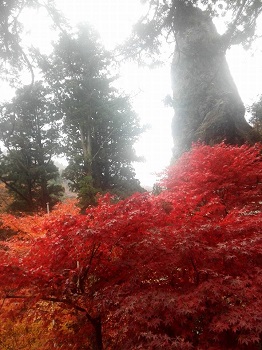 紅葉の榛名神社_a0061057_23555358.jpg