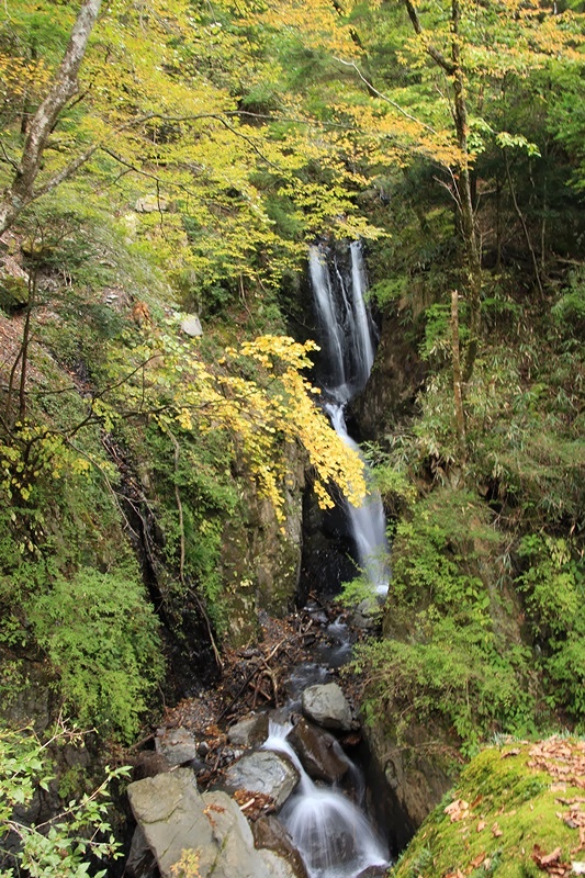 a0167759_12144194.jpg