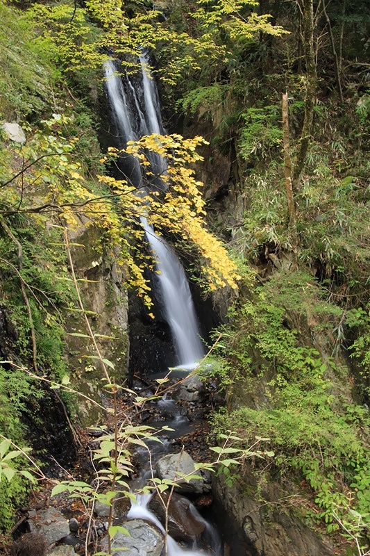 a0167759_1215041.jpg