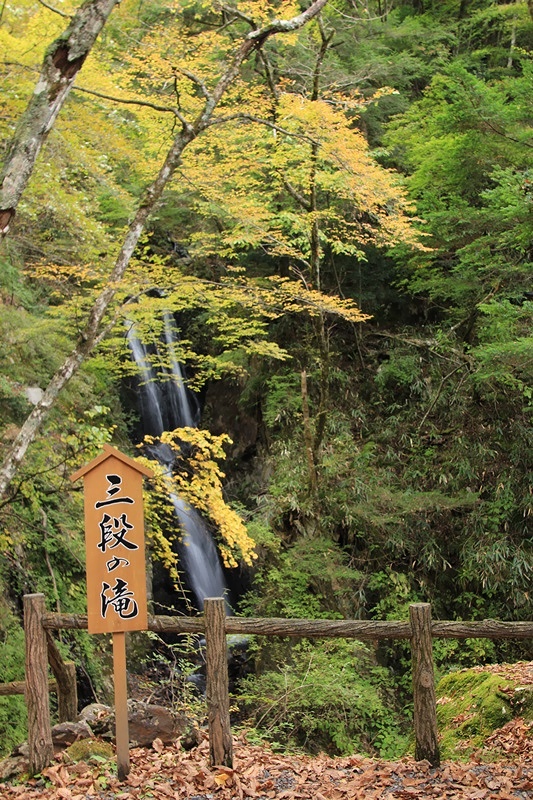 a0167759_121773.jpg