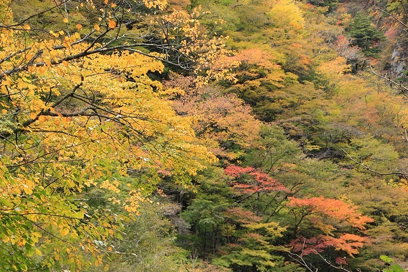 a0167759_1222868.jpg