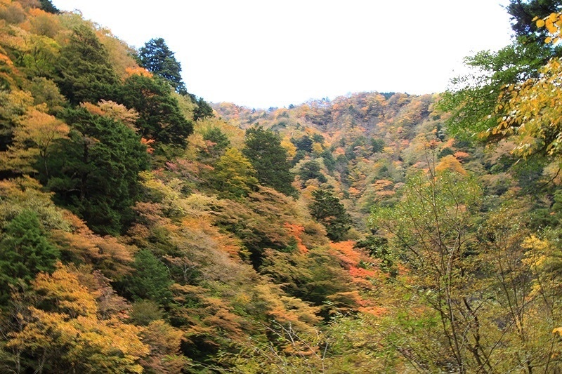 a0167759_12243083.jpg