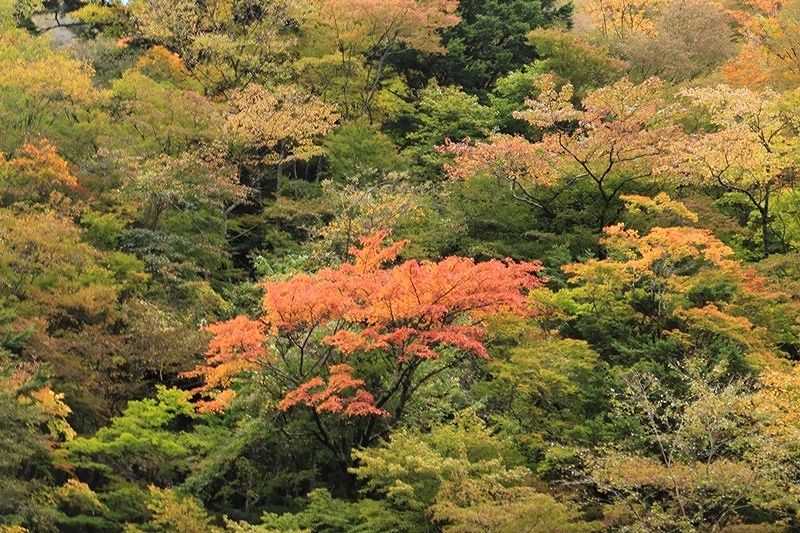 a0167759_12255466.jpg