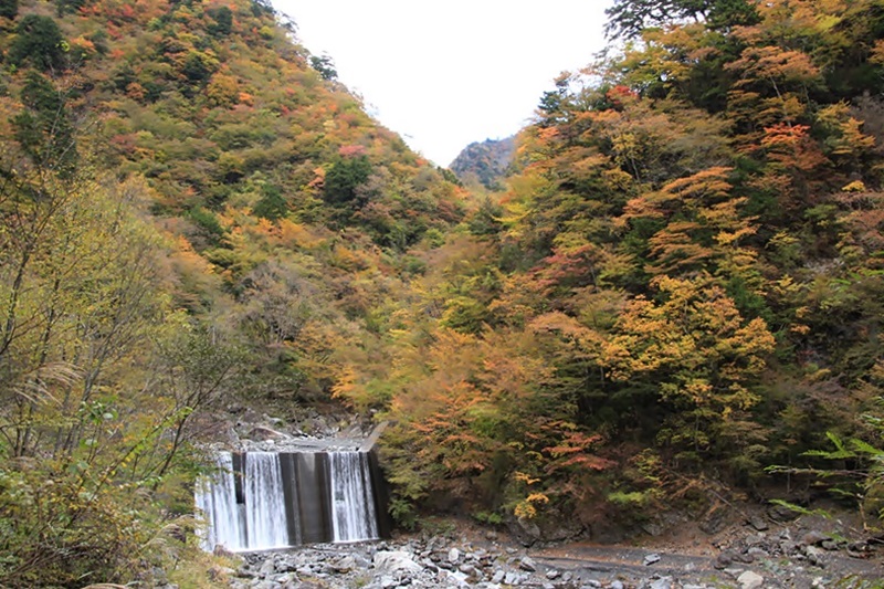 a0167759_12281331.jpg