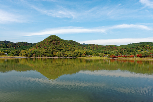 KYOTO autumn_a0293559_1625322.jpg