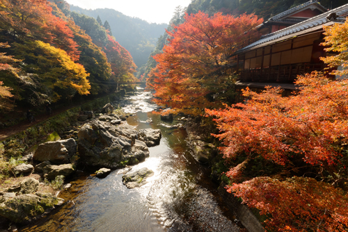 KYOTO autumn_a0293559_163390.jpg