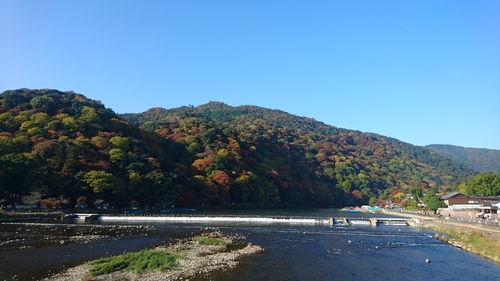 紅葉だより_e0139459_10444424.jpg
