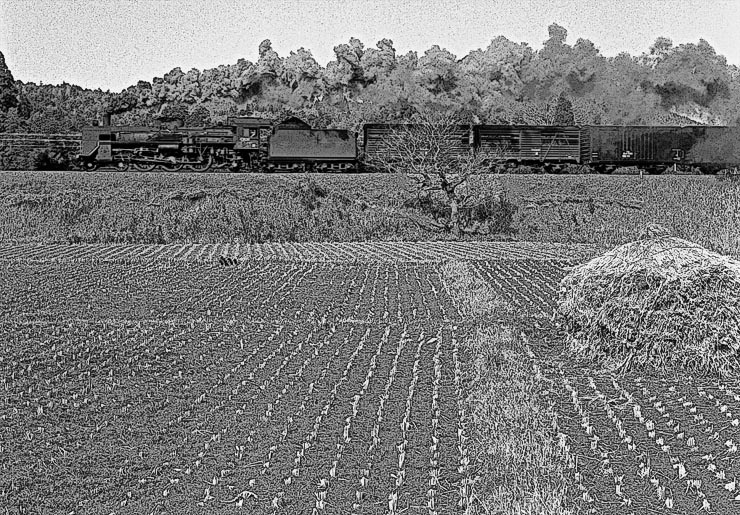 e0019563_12324457.jpg