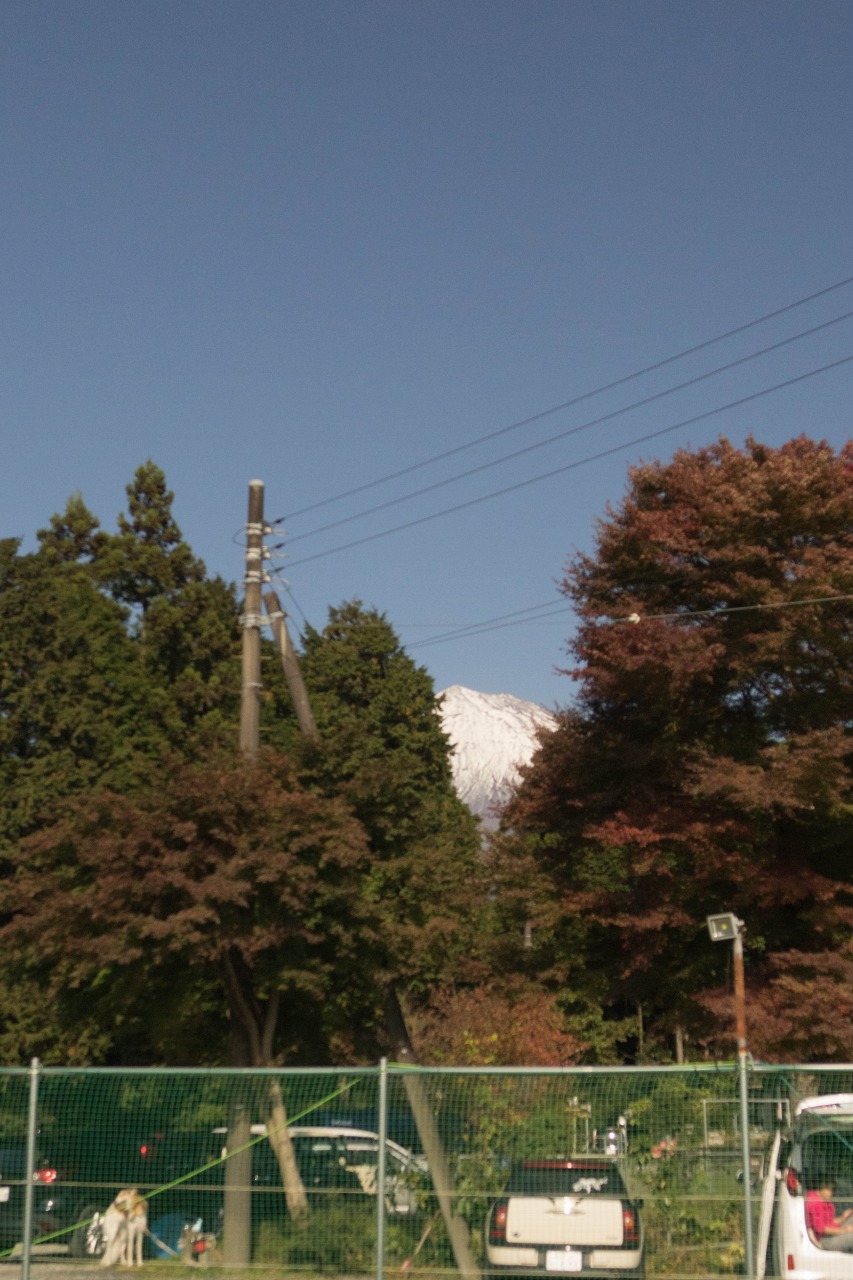 c0260264_147140.jpg