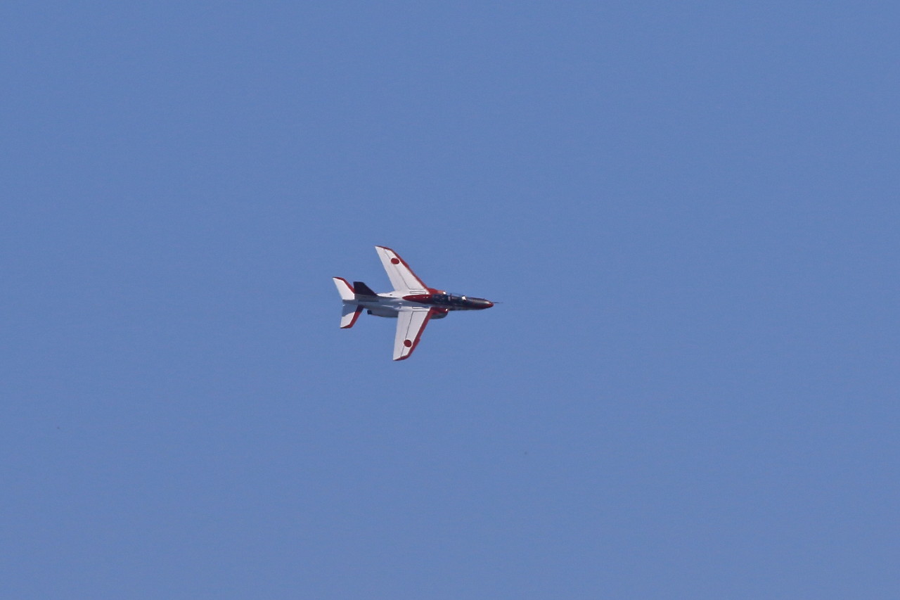 入間基地航空祭 ２０１６　・・・ T-４ レッドドルフィン_e0071967_209193.jpg