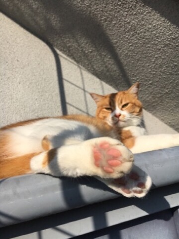 f0363168_09211324.jpeg