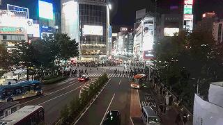 b0075371_019793.jpg